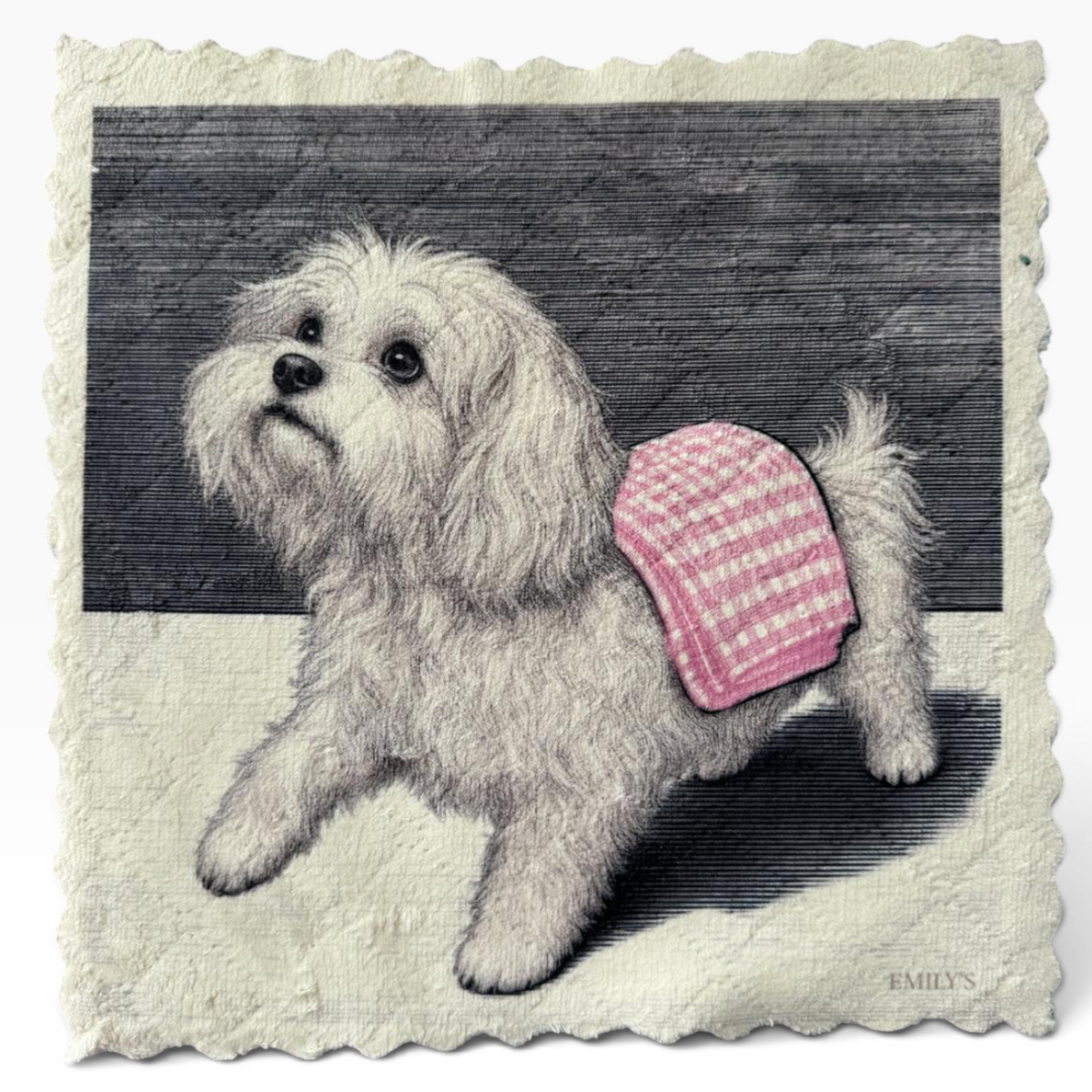 592. MALTESE – DOG CLEANING CLUB – Mikrofaser MALTEST