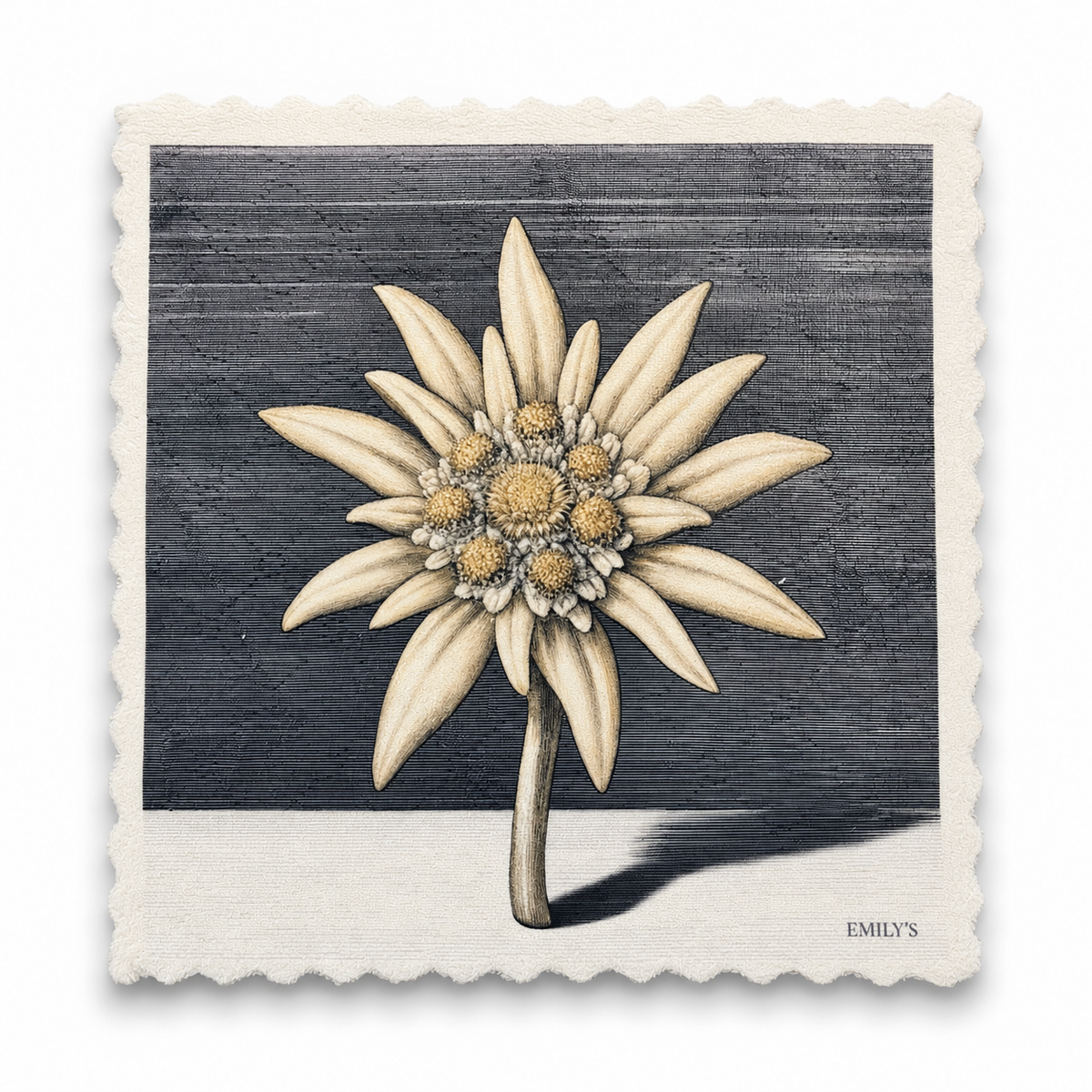 63. GOLD DUST EDELWEISS