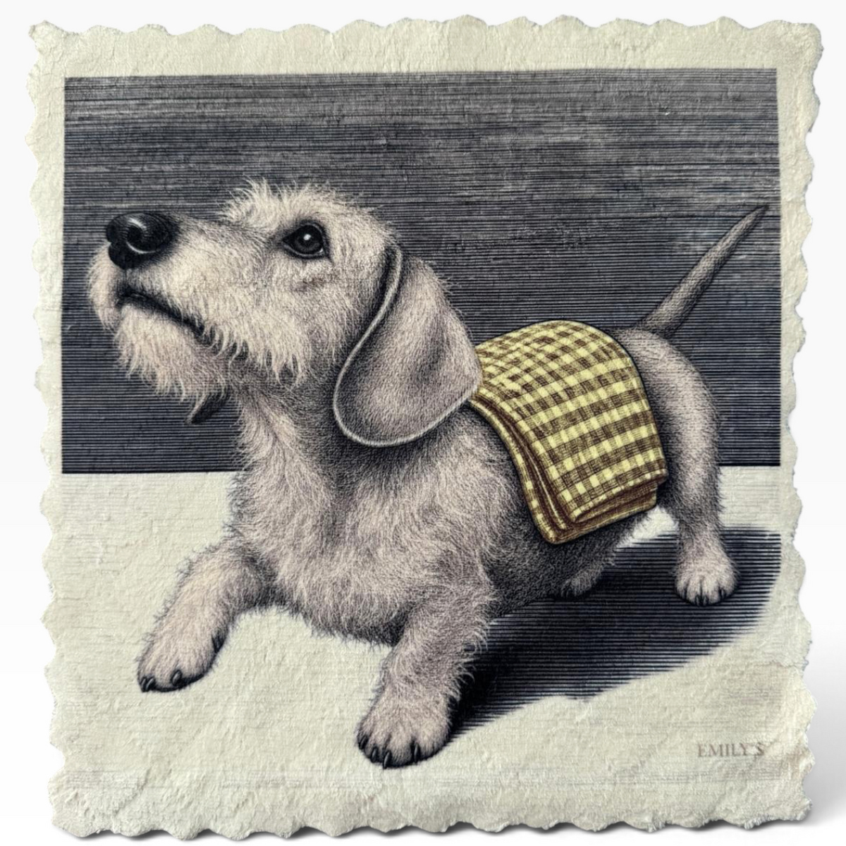 590. DACHSHUND – DOG CLEANING CLUB – Mikrofaser Putztuch