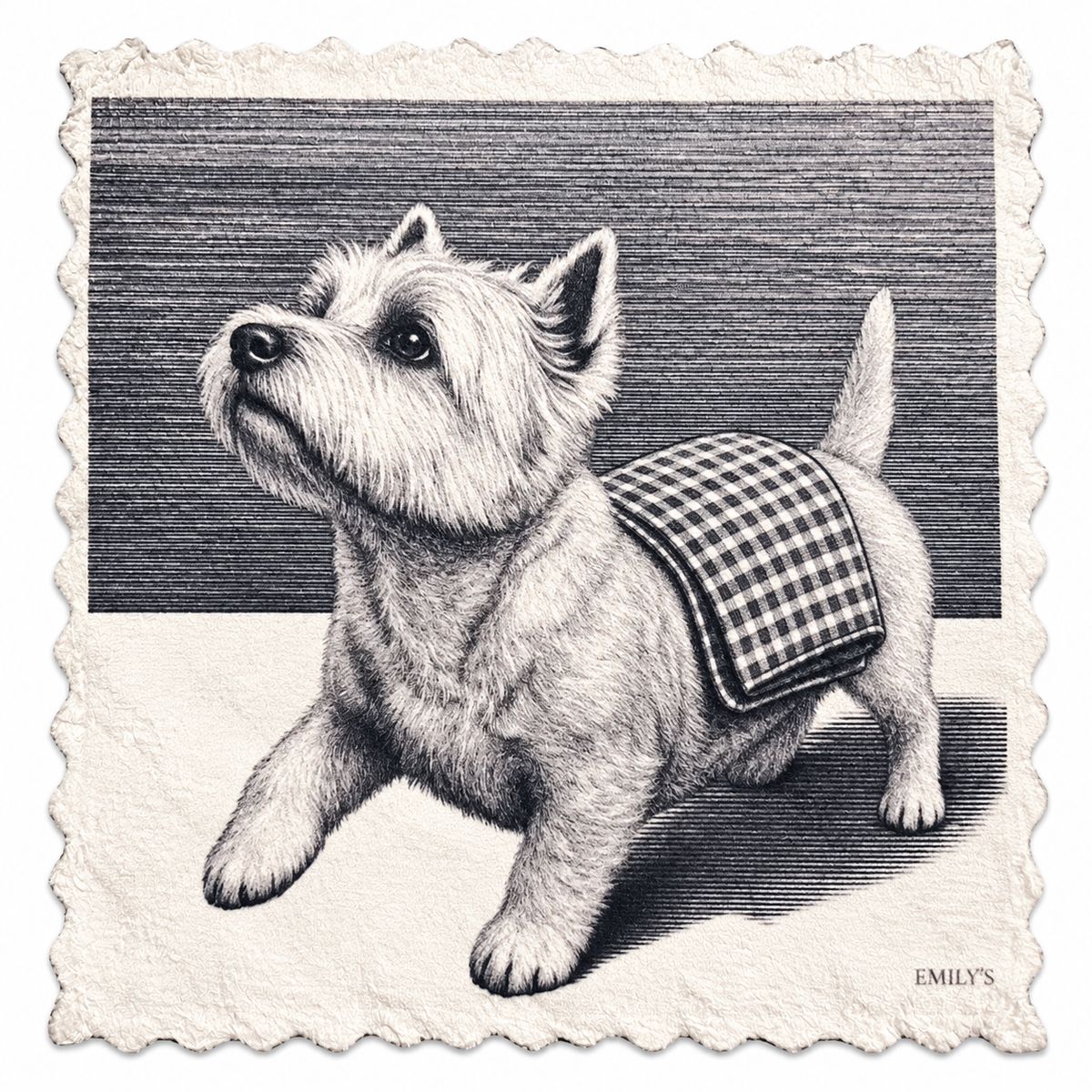 35. CLEAN WESTIE