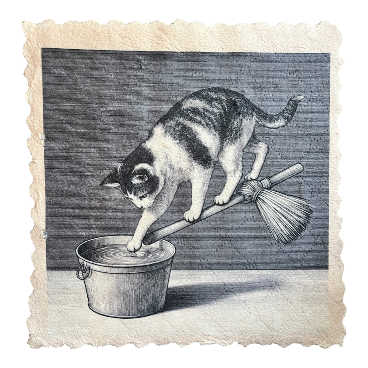 665. CLEANING CAT - Microfaser Putztuch