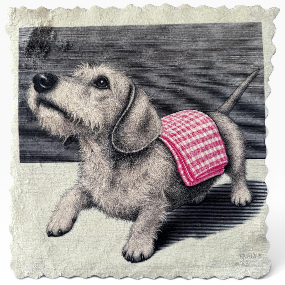 588. DACHSHUND – DOG CLEANING CLUB – Mikrofaser Putztuch