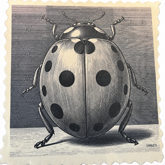 316. GRAPHIC LADYBUG