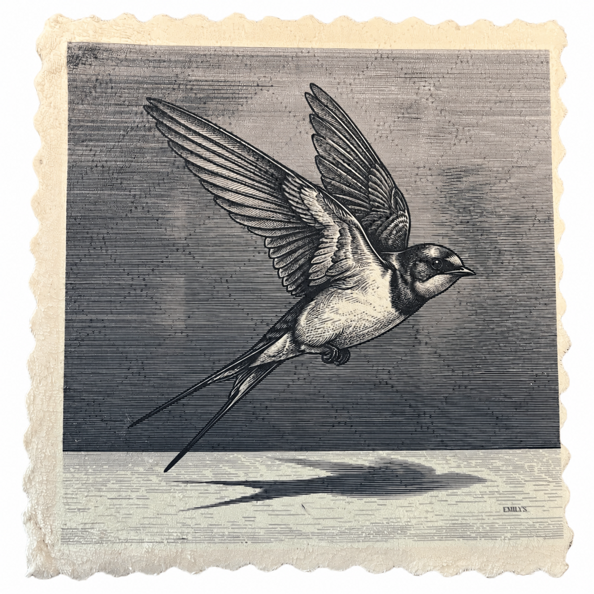 311. GRAPHIC SWALLOW