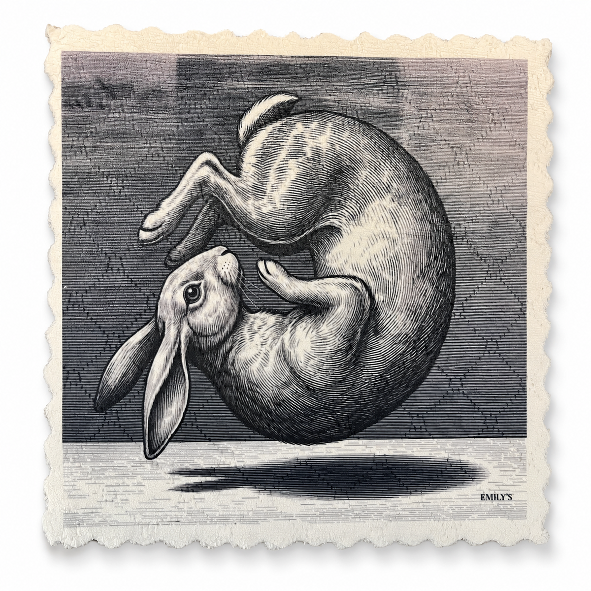 314. GRAPHIC SALTO RABBIT