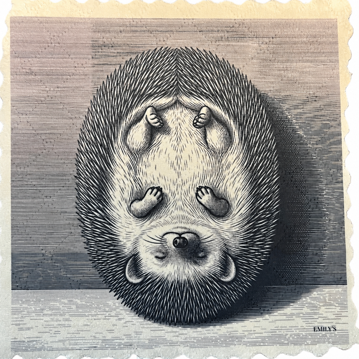 313. GRAPHIC HEDGEHOG