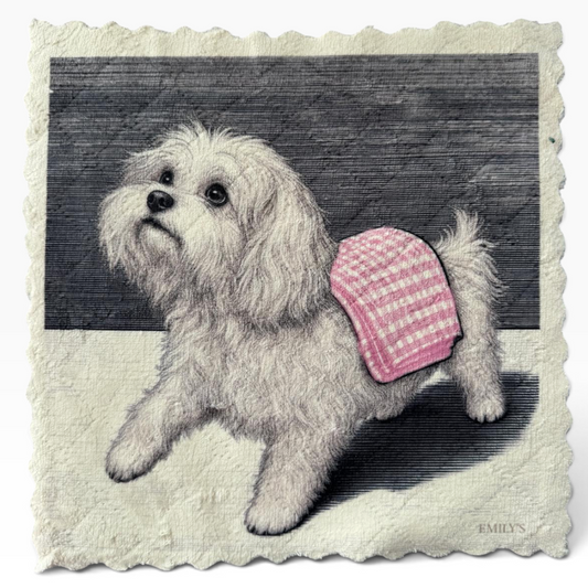592. MALTESE – DOG CLEANING CLUB – Mikrofaser MALTEST