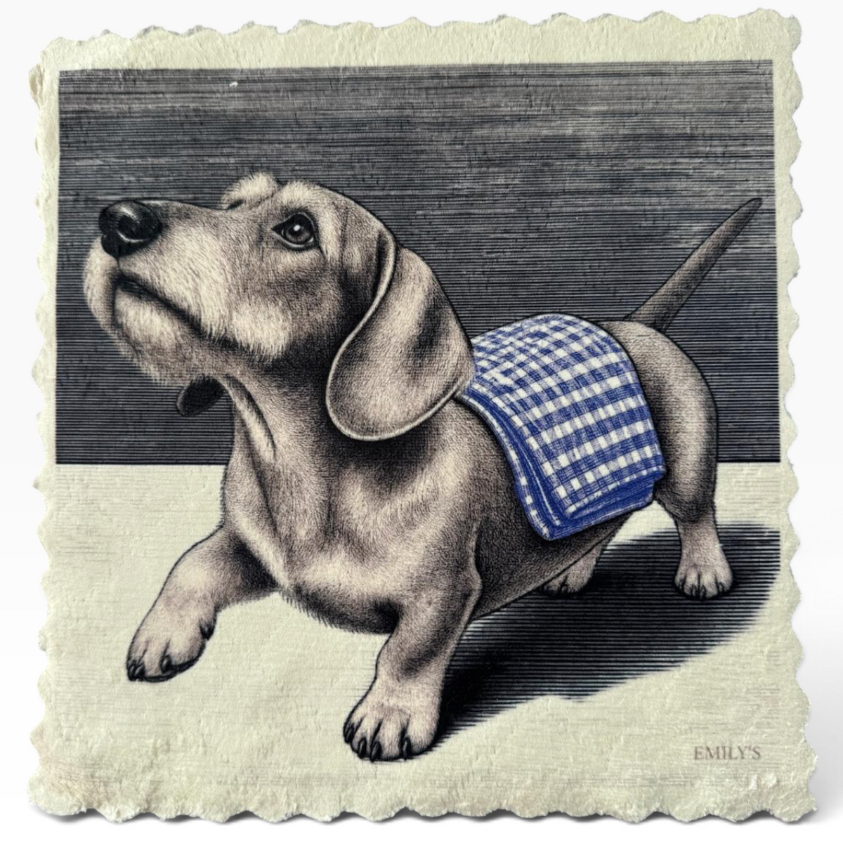 591. DACHSHUND – DOG CLEANING CLUB – Mikrofaser Putztuch