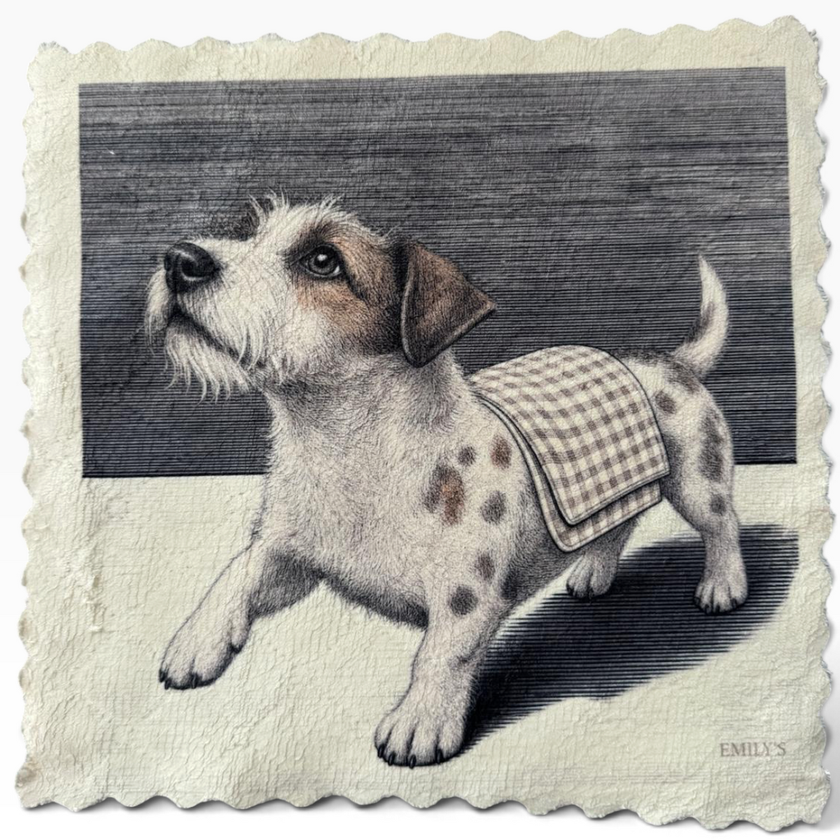 587. CLEAN JACK RUSSELL – Mikrofaser Putztuch