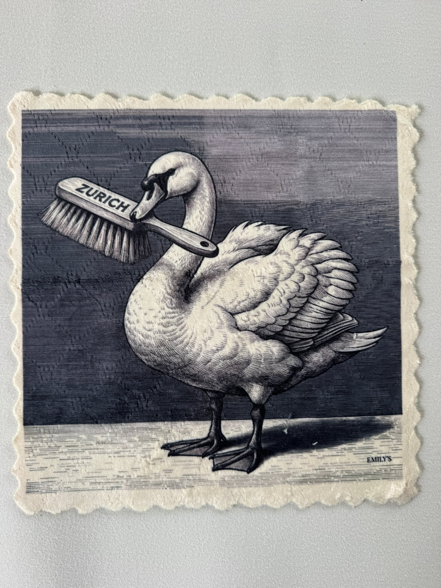 GRAPHIC ZURICH SWAN