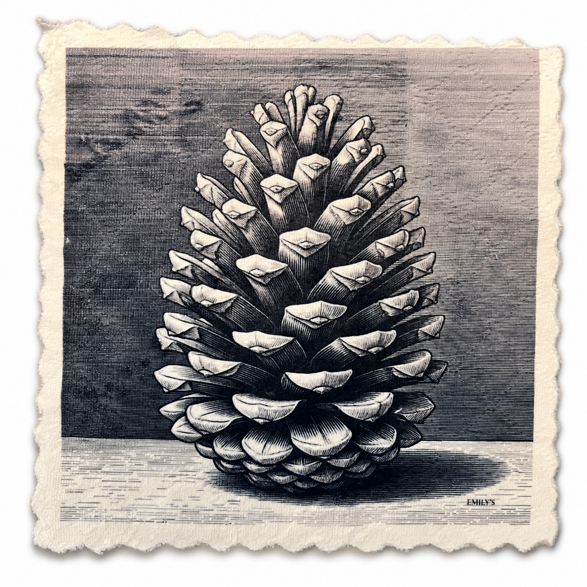 319. GRAPHIC PINE CONE