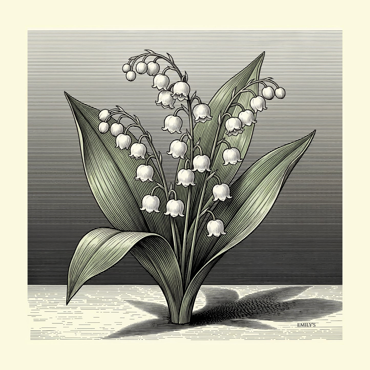 GRAPHIC 8