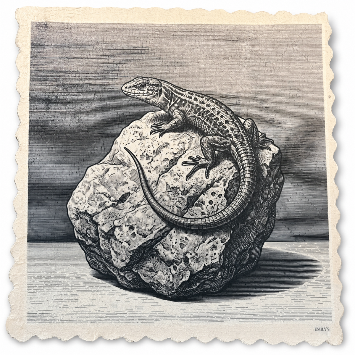 312. GRAPHIC LIZARD