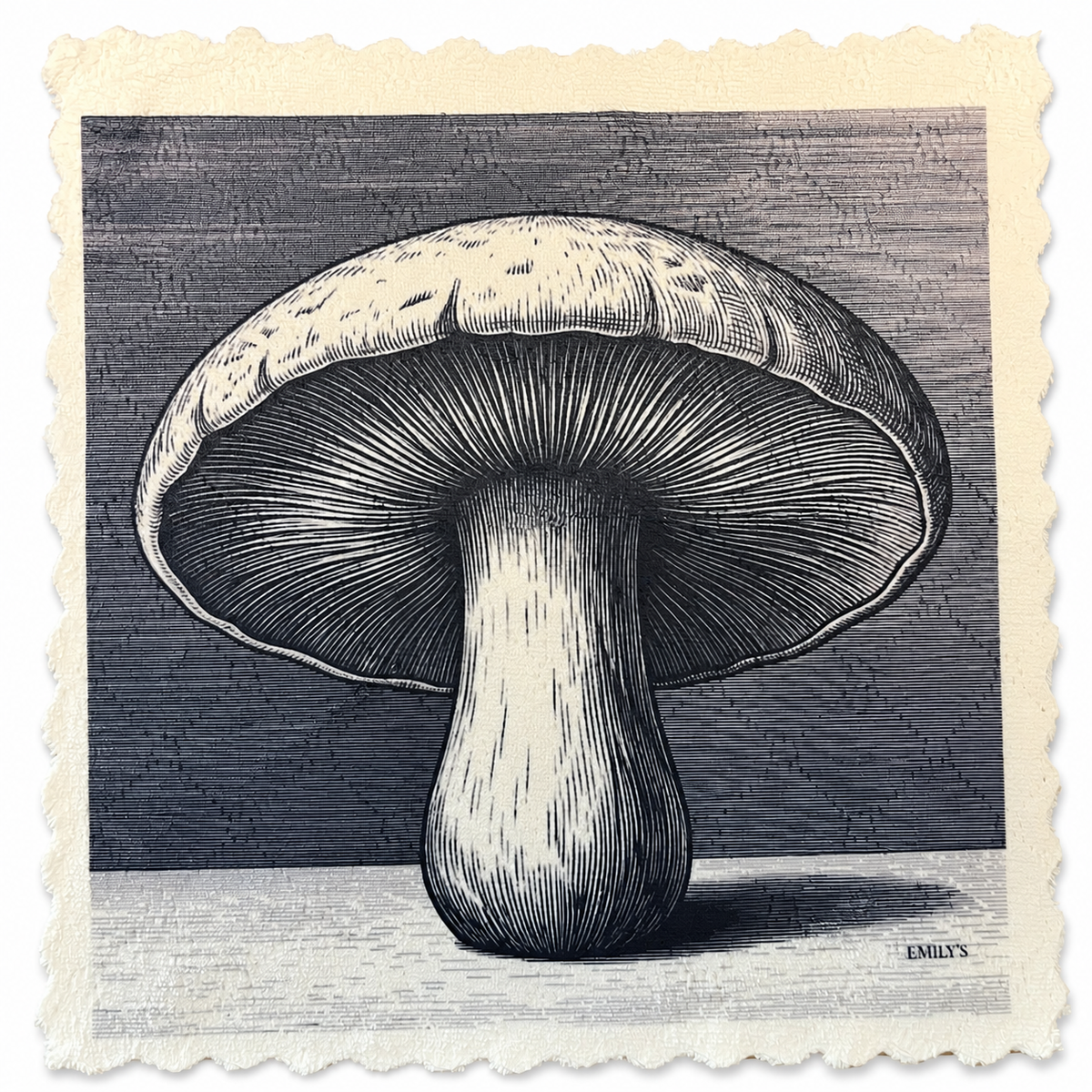 328. GRAPHIC MUSHROOM