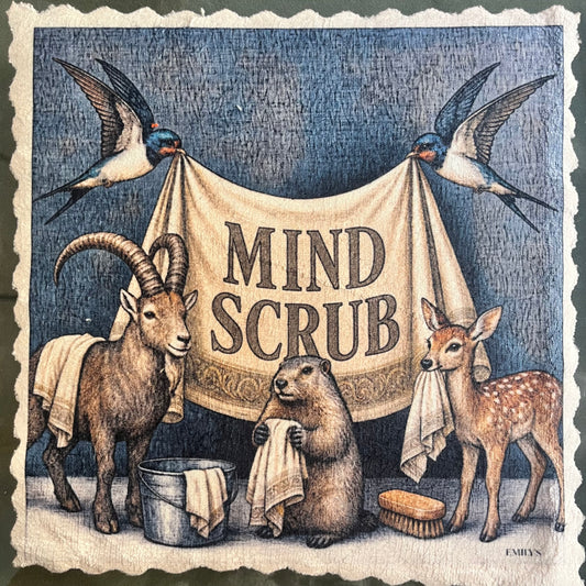 164. MIND SCRUB