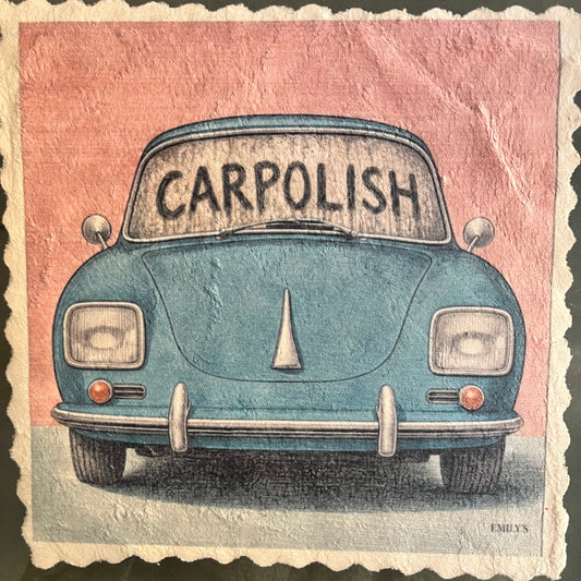 132. CARPOLISH