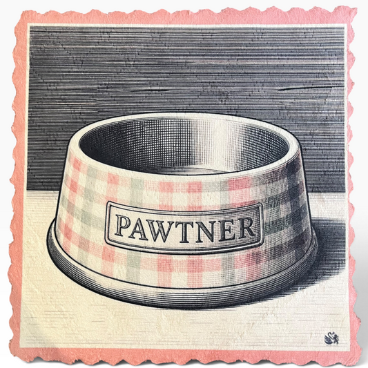 134. PAWTNER BOWL