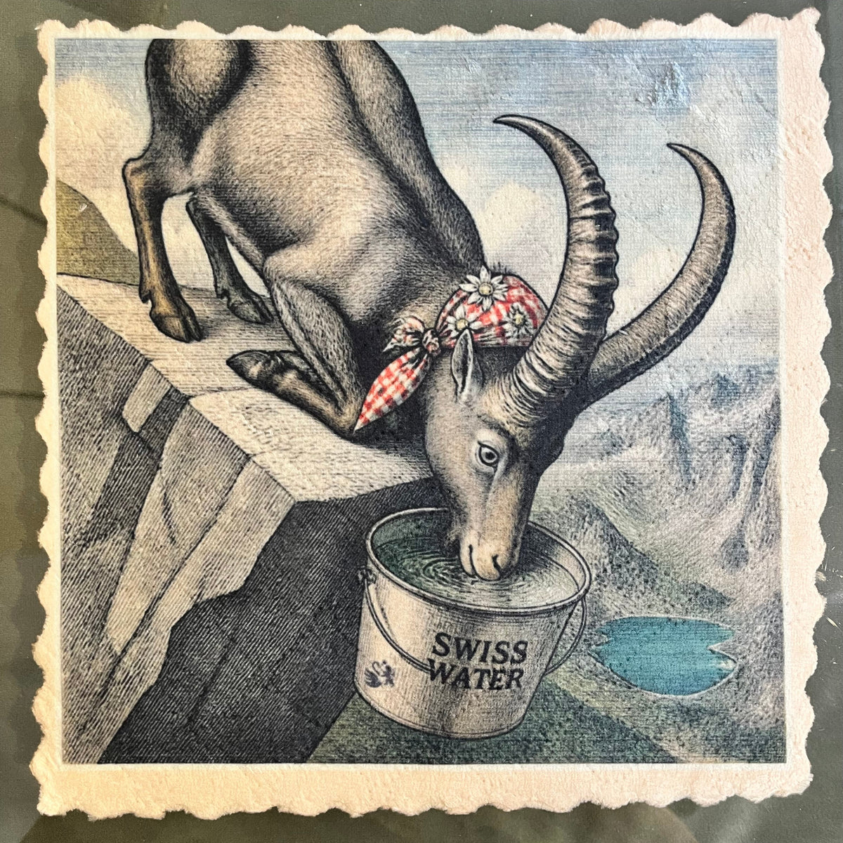 136. IBEX SPLASH