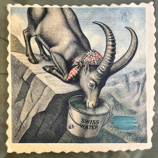 136. IBEX SPLASH