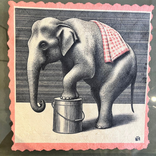 137. CLEANING JUMBO