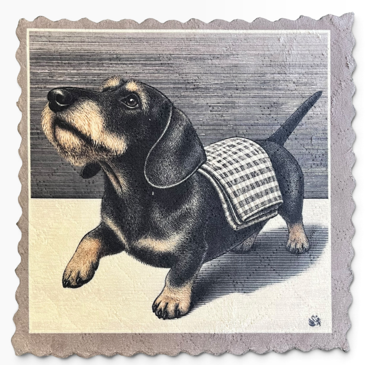 138. CLEANING BUDDY