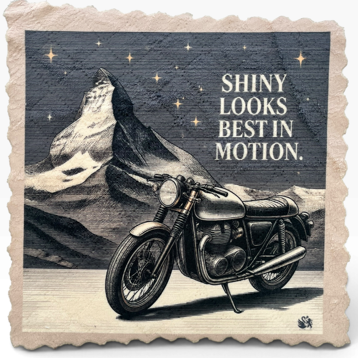 SHINY LOOKS BEST IN MOTION – Mikrofaser Putztuch