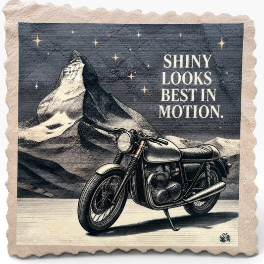 611. SHINY LOOKS BEST IN MOTION – Mikrofaser Putztuch