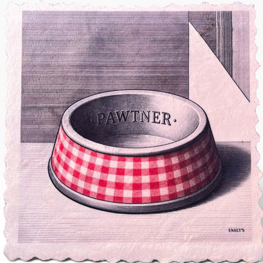 569. PAWTNER BOWL