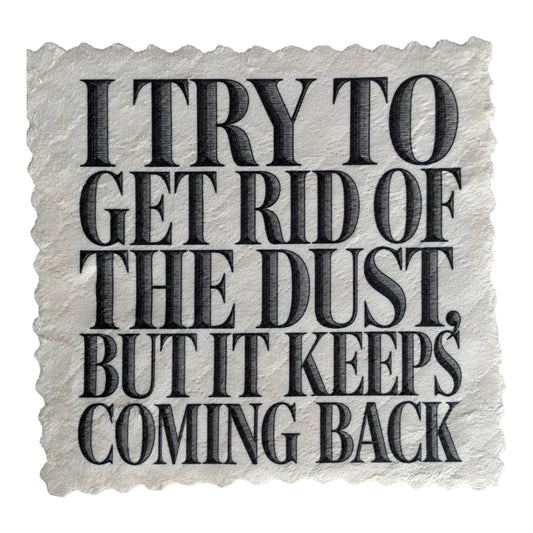 286. I TRY TO GET RID OF THE DUST – Mikrofaser Putztuch