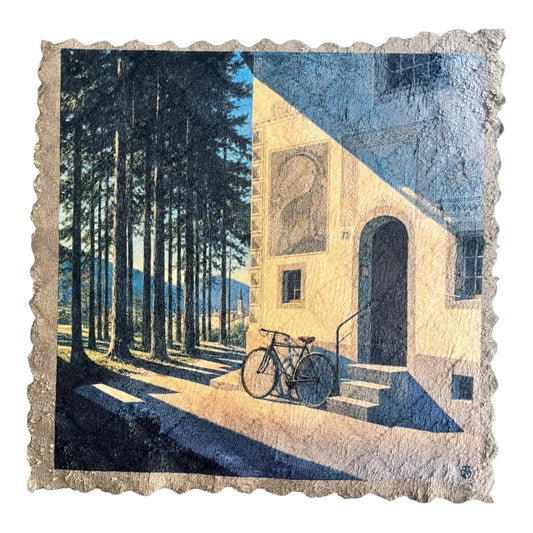 124. ENGADIN FOREST RETREAT – Mikrofaser Putztuch