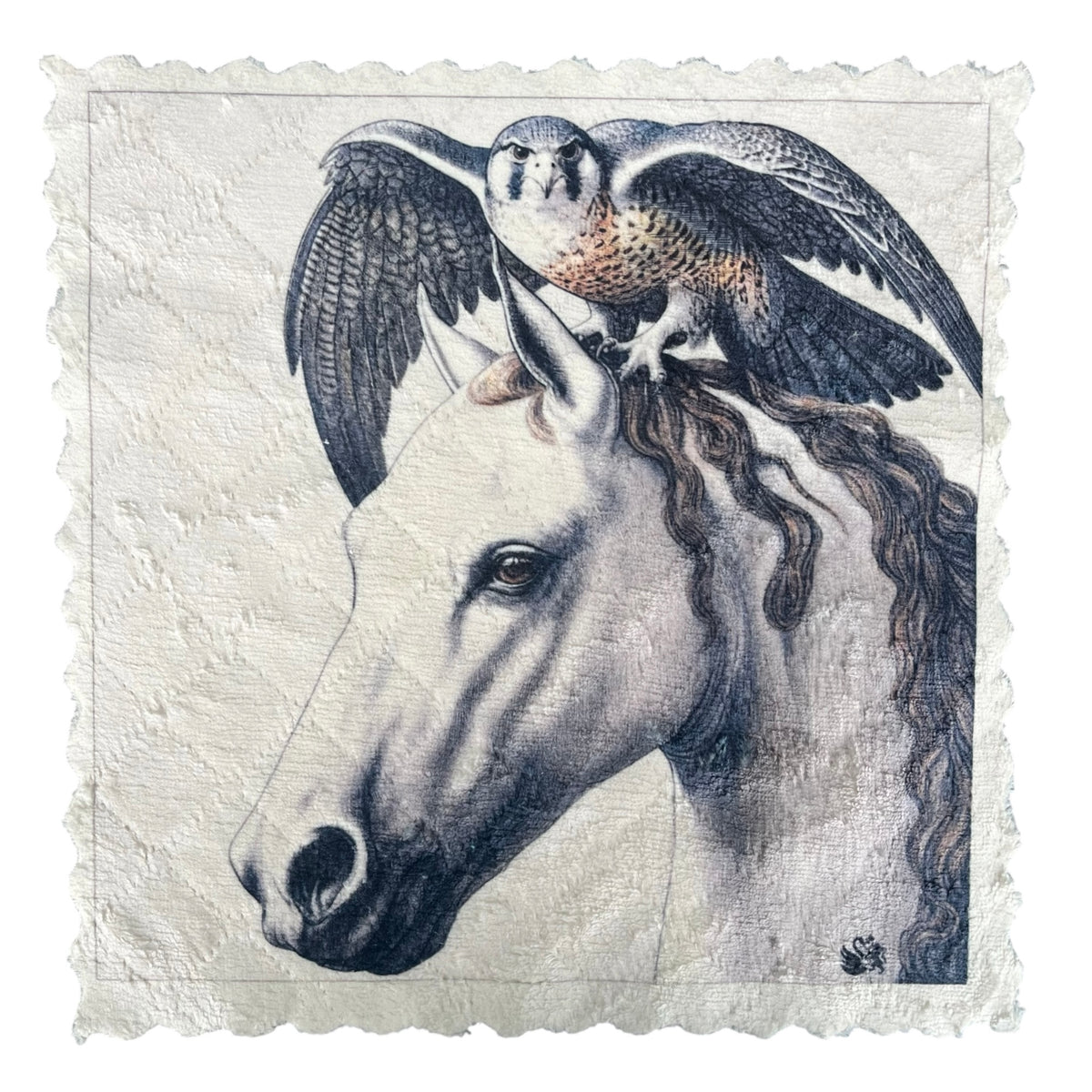 486. EQUESTRIAN FALCON – Microfaser Putztuch