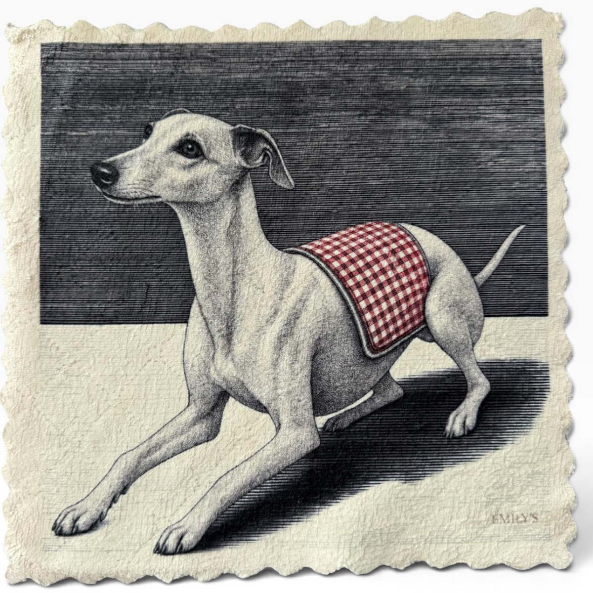 589. GREYHOUND – DOG CLEANING CLUB – Mikrofaser Putztuch